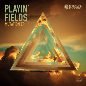 Playin' Fields