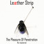 The Pleasure of Penetration (remastered) cover