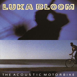 The Acoustic Motorbike cover