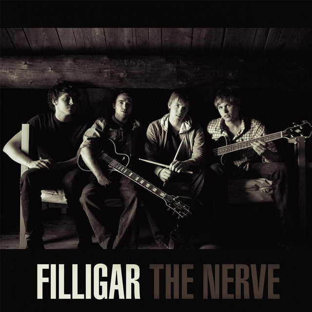The Nerve cover
