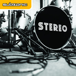 Stereo cover