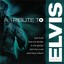 A Tribute To Elvis Presley Albumcover