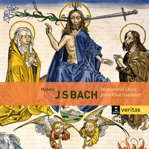 Bach: Motets BWV 225-231, Cantatas BWV 50 & 118 album