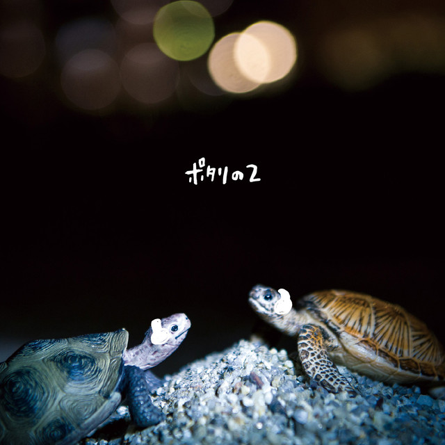 ポタリ Photo