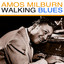 Walking Blues Albumcover