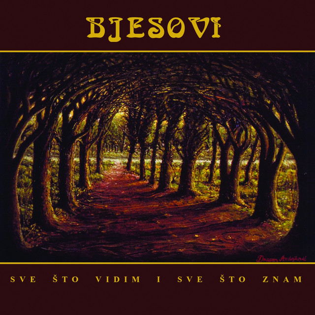 Sve Sto Vidim I Sve Sto Znam cover