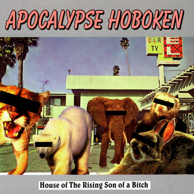 House Of The Rising Son Of A Bitch cover