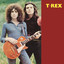 T. Rex cover