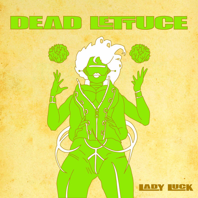 Dead Lettuce Photo
