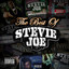 Best of Stevie Joe cover
