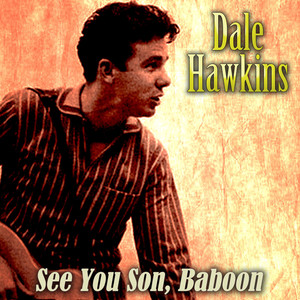 See You Soon, Baboon album