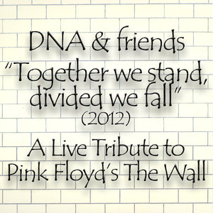 DNA & Friends Present a Live Tribute to Pink Floyd's The Wall 2012 (Together We Stand, Divided We Fall) cover