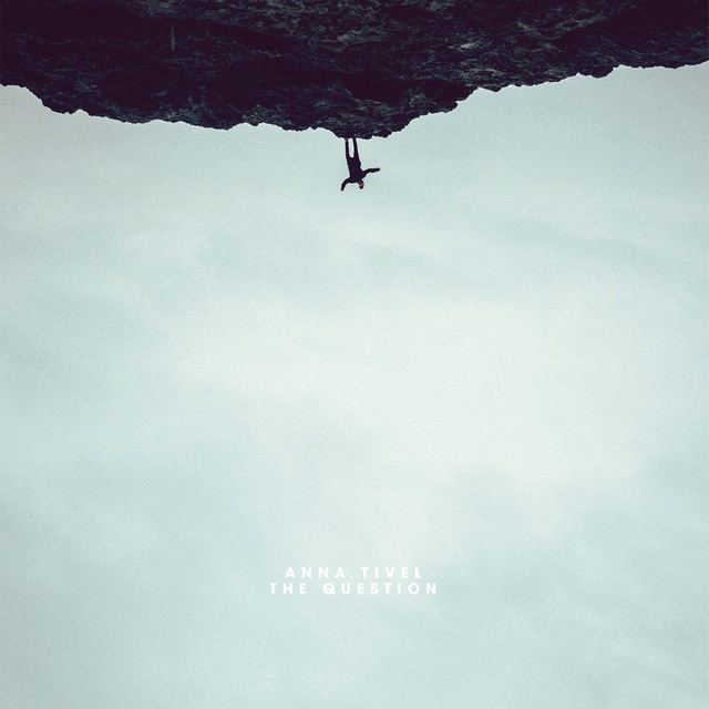 The Question cover