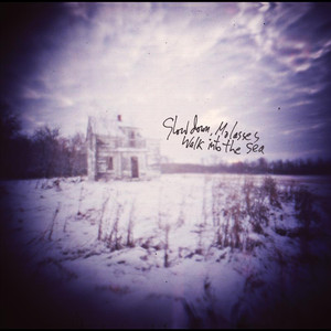 Walk Into the Sea cover