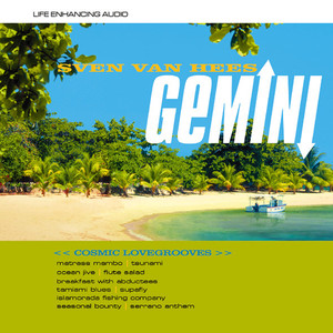 Gemini cover