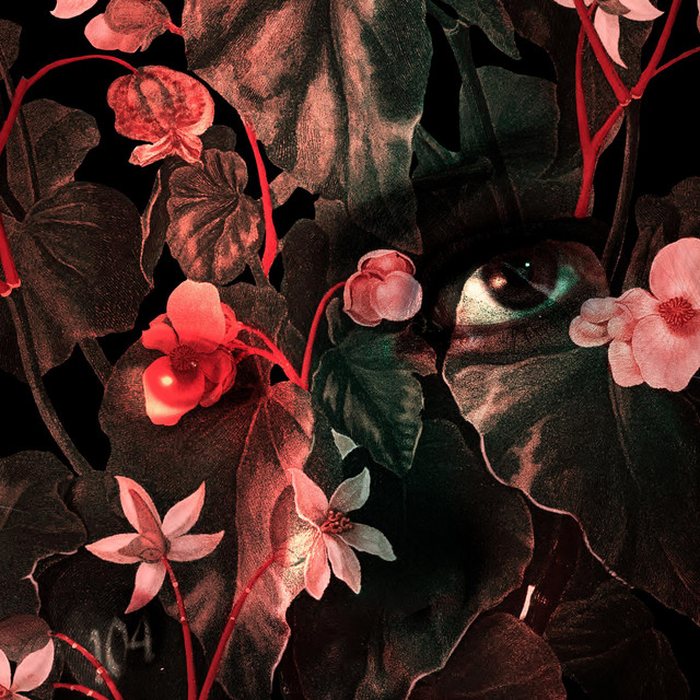 Musik Artist CÉLINE