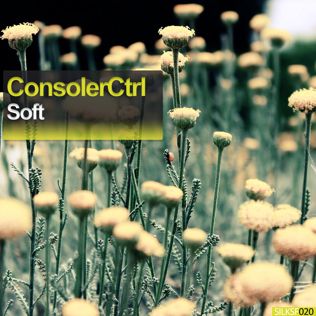 ConsolerCtrl Photo