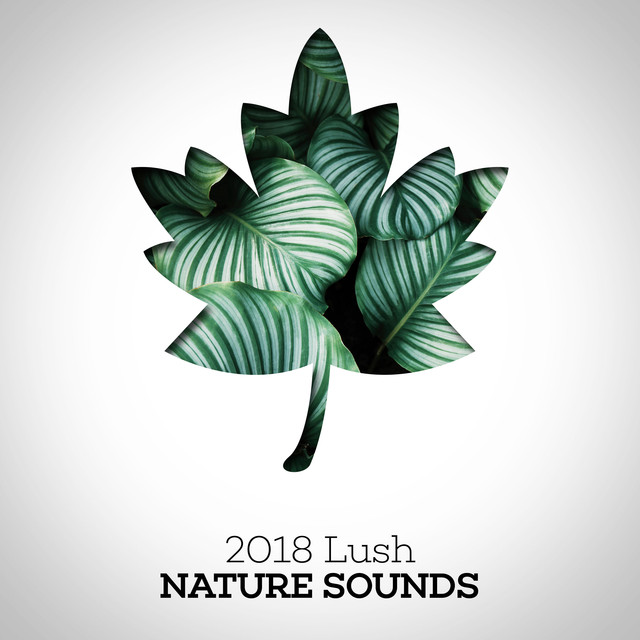 2018 Lush Nature Sounds