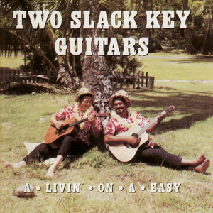 Two Slack Key Guitars album