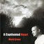 A Captivated Heart Albumcover