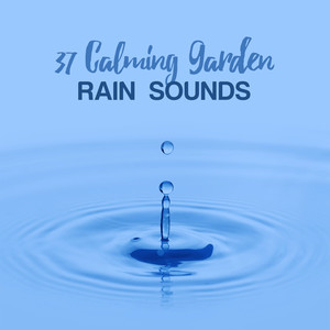 37 Calming Garden Rain Sounds album