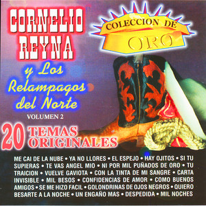 Coleccion de Oro "20 Temas Originales" Vol. 2 album