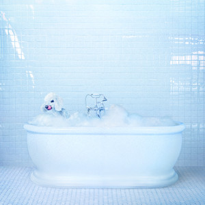 Vessel cover