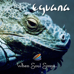 When Soul Sings... cover