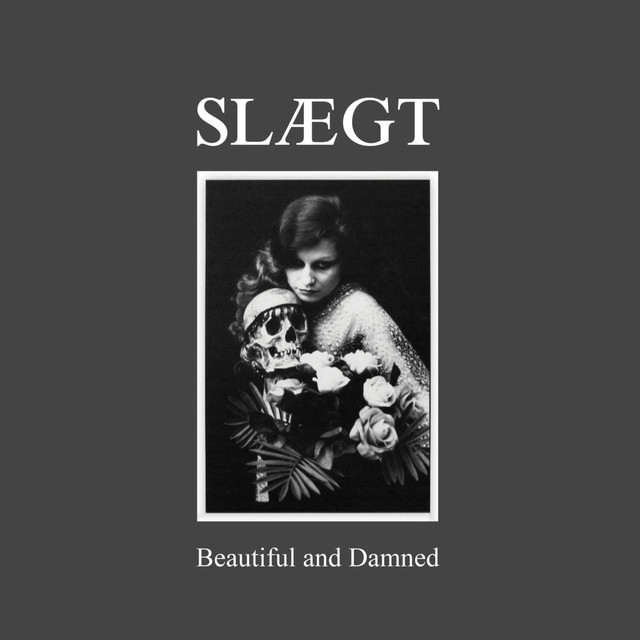 Beautiful And Damned cover