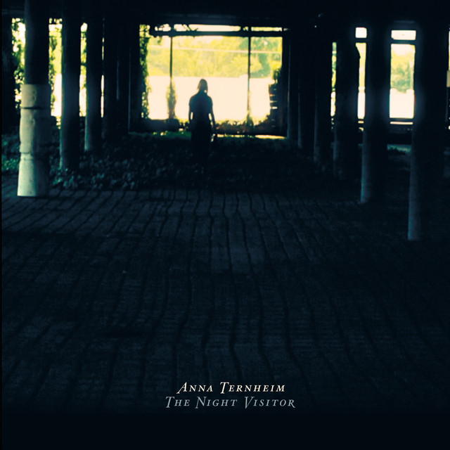 The Night Visitor cover
