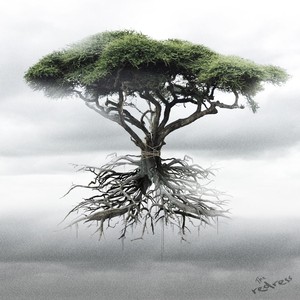 The Redress Albumcover