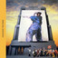 Parade (Special Edition) cover