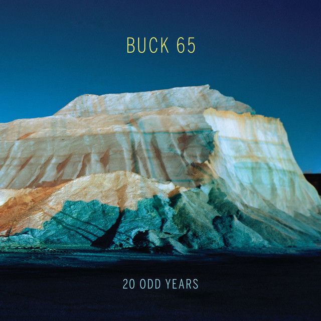 20 Odd Years cover