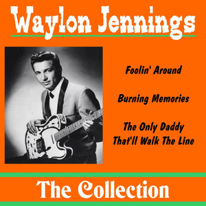 Waylon Jennings: The Collection album