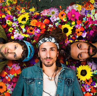 MAGIC GIANT Photo