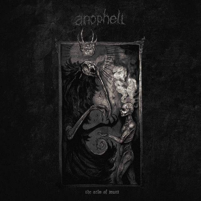 Anopheli Photo