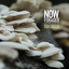 Now, Forager (Original Motion Picture Soundtrack) cover