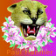 Naivasha Albumcover