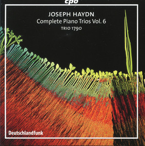 Complete Piano Trios, Vol. 6 cover