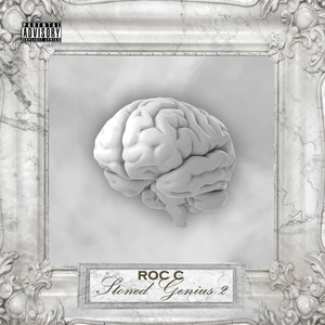 Stoned Genius 2 cover