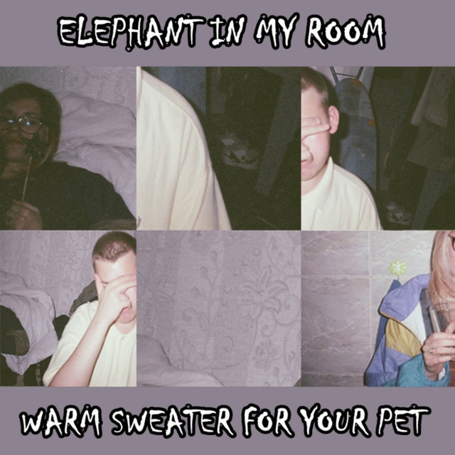 Elephant in My Room Photo