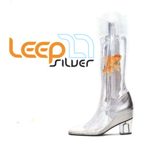 Silver Albumcover