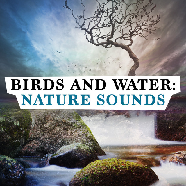 Nature Sounds - Sons de la nature