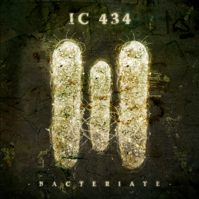 Bacteriate cover