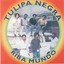 Riba Mundo Albumcover