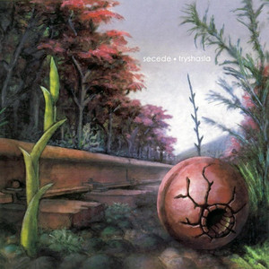 Tryshasla cover