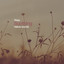 Sleep - Soothing Nature Sounds cover