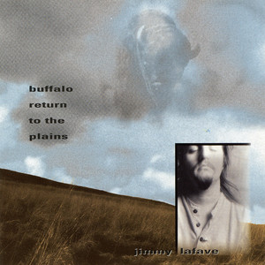 Buffalo Return to the Plains album