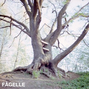 F&aring;gelle