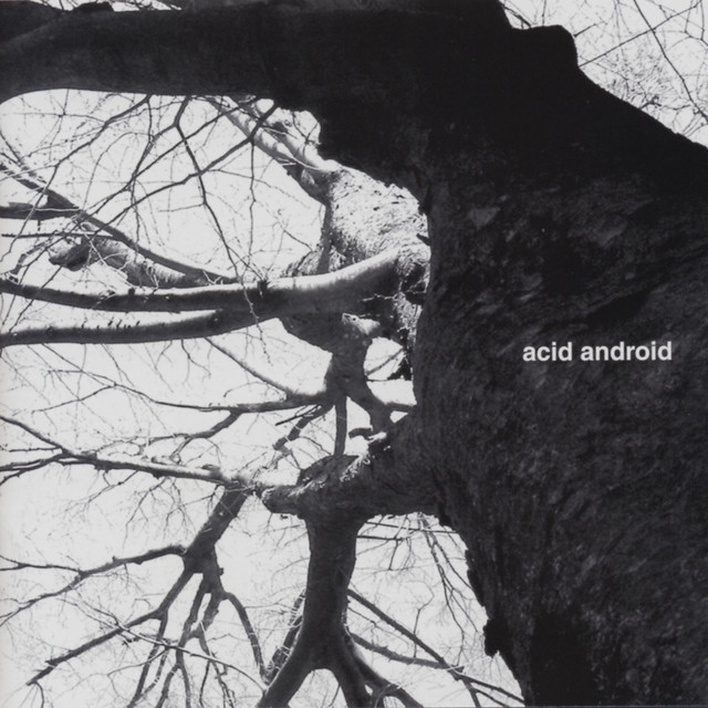 Acid Android cover